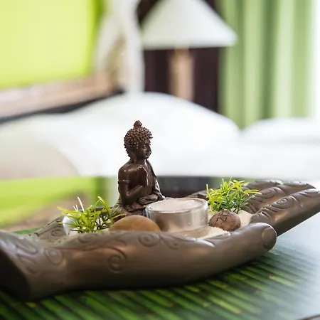 Hotel Airotel 3*